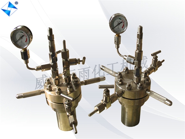江蘇高壓水熱反應釜
