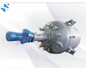 江蘇大型生產(chǎn)型反應(yīng)釜