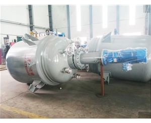 江蘇生產(chǎn)型反應(yīng)釜