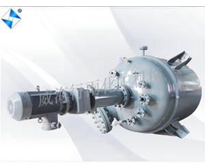 江蘇生產(chǎn)型反應(yīng)釜