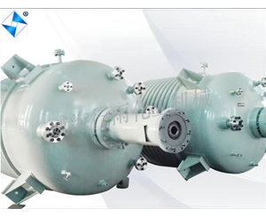 江蘇生產(chǎn)型反應(yīng)釜