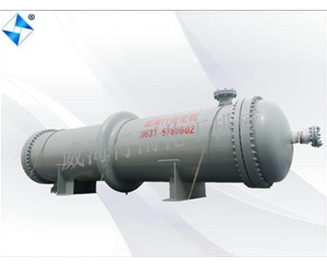 江蘇生產(chǎn)型反應(yīng)釜