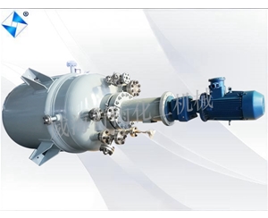 江蘇生產(chǎn)型反應(yīng)釜